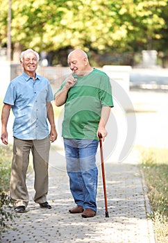 Elderly men spending time together