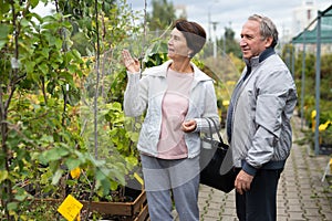 Elderly men and women buying tree seedlings at an open market