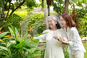 Elderly mother and happy smiling daughter walking in the park.