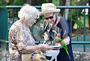 Elderly mother senior daughter feeding Rainbow Lorikeet birds Gold Coast