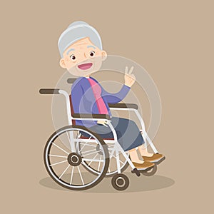 elderly old woMan is sitting in a wheelchair.senior female patient in wheelchair