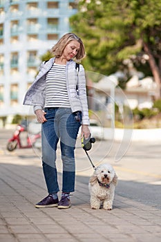 Elderly pensioner woman walk park white small dog