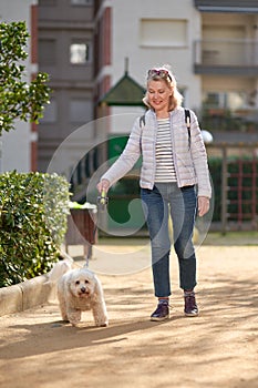 Elderly pensioner woman walk park white small dog