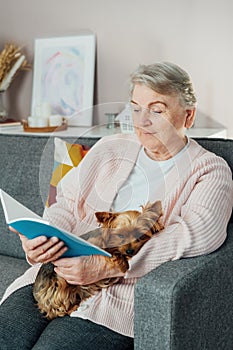 Elderly retired senior woman with wrinkles smiling while embracing her Yorkshire terrier dog pet and relaxing while