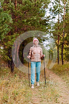 Elderly sixty-year-old woman in sportswear is engaged in Nordic walking with sticks in the forest in the autumn