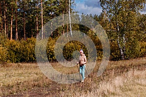 Elderly sixty-year-old woman in sportswear is engaged in Nordic walking with sticks in the forest in the autumn