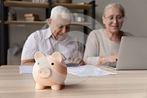 Elderly spouses manage family finances, focus on piggybank on table