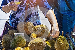 Elderly Thai female vendor ride motorcycle selling durians and fruits and vegetables to tourists at roadside. Street Merchant cut