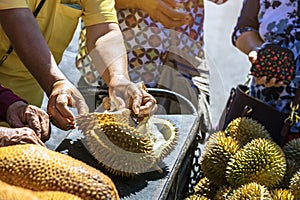 Elderly Thai female vendor ride motorcycle selling durians and fruits and vegetables to tourists at roadside. Street Merchant cut