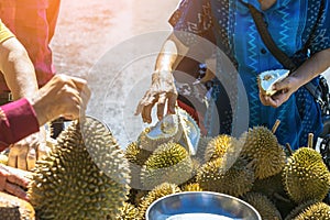 Elderly Thai female vendor ride motorcycle selling durians and fruits and vegetables to tourists at roadside. Street Merchant cut