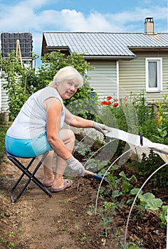 An elderly woman is engaged in weeding in garden