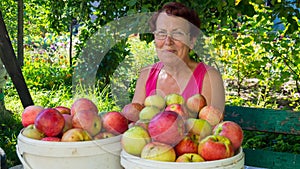 Elderly woman with fresh apple harvest