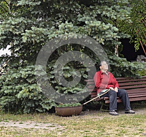 An elderly woman in the garden