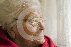 Elderly Woman Gazing