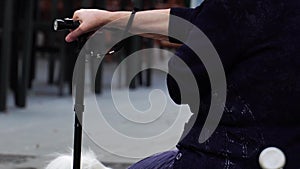Elderly woman hands on a walking stick