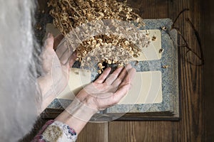 Elderly woman looking into old vintage photo album next to dried flowers from past life. Vintage Photo Album