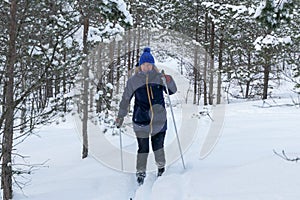 Elderly woman during outdoor physical activities in woodland at snowy winter day. Senior woman cross country telemark skiing in