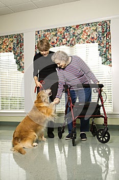 Più vecchio una donna coccole il cane 