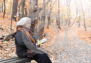 Elderly woman reading a book in the park in the autumn afternoon