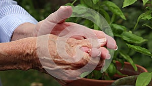 Elderly woman rubs her hands from arthritis pain