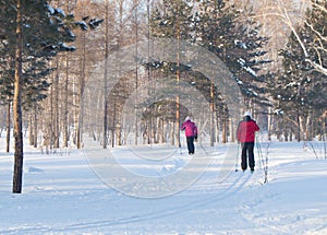 An elderly woman is skiing in the snowy winter woods or the Park, active lifestyle in retirement