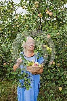 An elderly woman standing under an apple tree
