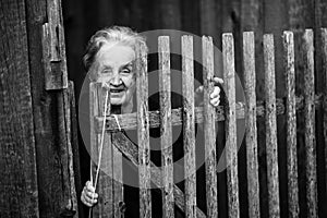 An elderly woman stands near a wooden fence
