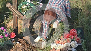 Elderly woman takes care of the graves