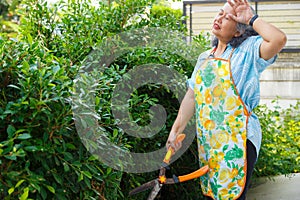 Elderly woman trimming hedge using hedge shears