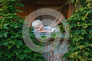 An elderly woman in the veranda among the greenery. Nature.