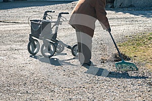 Elderly woman with walker, rakes the lawn and doing gardening work