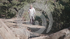 An elderly woman walks along a path in a juniper grove. Recovery with phytancides. Hiking.