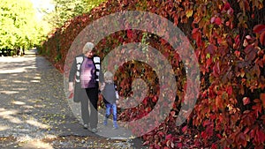 An elderly woman walks with her little grandson in the autumn Park.