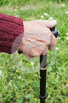 Elderly woman walks on nature in the park.