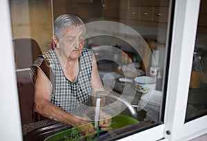 Elderly woman washing dishes