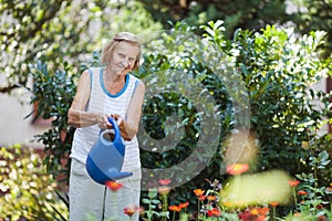 Elderly woman watering plants in her garden