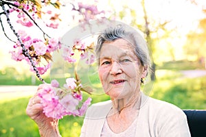 Elderly woman in wheelchair in spring nature.