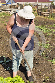 Elderly woman working in the summer in the garden