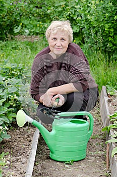 Elderly woman works on a kitchen garden