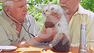Eldery people examine cat with stethoscope sitting at table