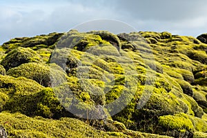 Eldhraun - Moss Fields, Iceland