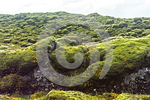 Eldhraun - Volcanic Moss Fields, Iceland