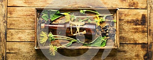 Elecampane root tincture