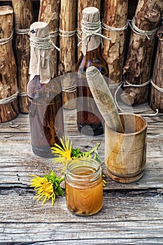 Elecampane tincture