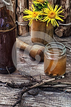 Elecampane tincture