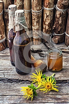 Elecampane tincture