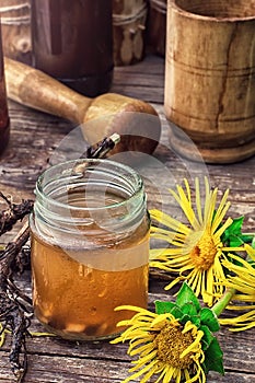 Elecampane tincture