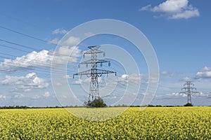 Electicity lines towers on filed of blooming rapeseed