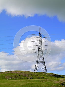 Electicity pylon on hillside.