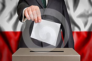 Election in Poland - voting at the ballot box photo